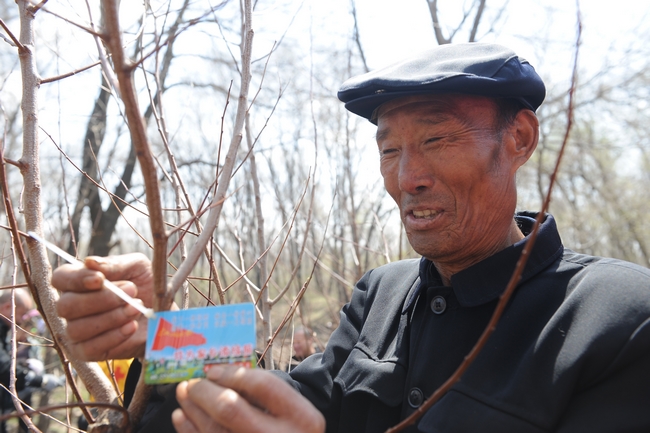 吉林森工红石林业有限公司